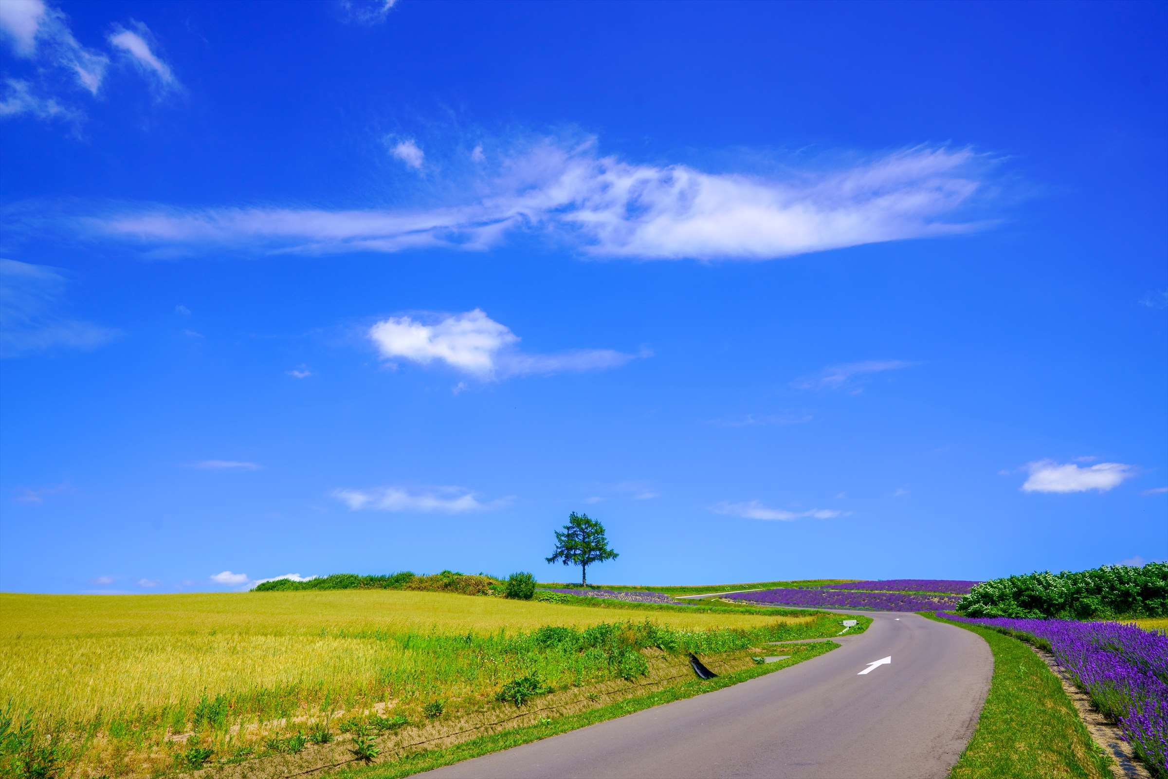 Hokkaido